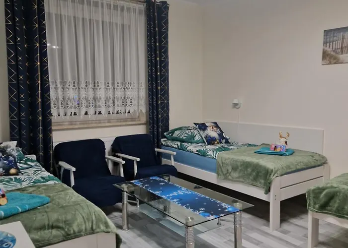 Słoneczny Zelistrzewo